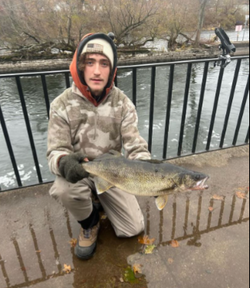 Wade Fishing In Oswego 